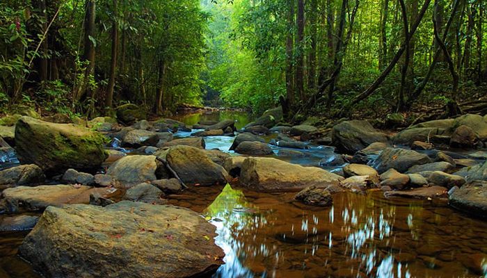 Sinharaja Forest Reserve